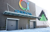Гаражные ворота DoorHan с окнами